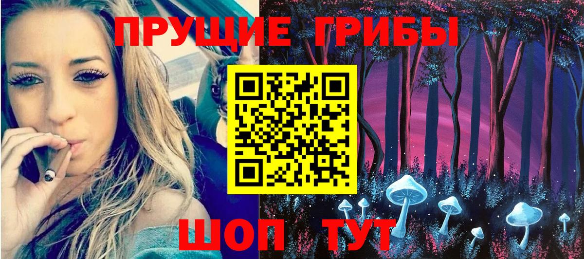 Псилоцибиновые грибы Psilocybe  Вход с VPN  Малоярославец 